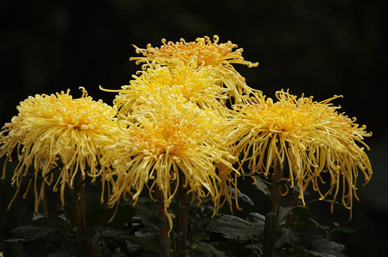 timg (1).jpg 海創(chuàng)集成墻面.jpg