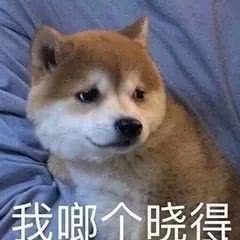 u=1954595016,2057791473&fm=15&gp=0.jpg u=1954595016,2057791473&fm=15&gp=0.jpg