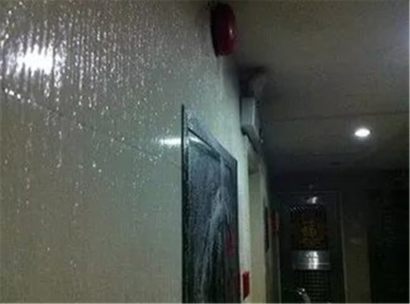 微信圖片_20220328135049.jpg 微信圖片_20220328135049.jpg